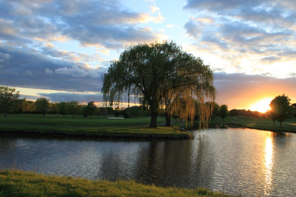 sunset at Arlington lakes golf club